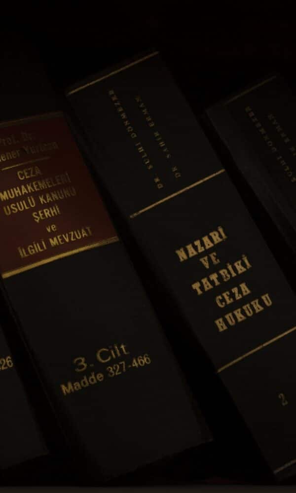 Untitled design 11 600x1000